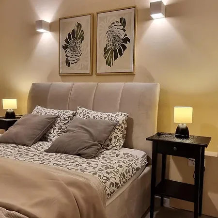 別荘 Andrea With Infinity Salty Pool Roč