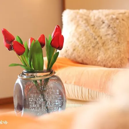 別荘 Andrea With Infinity Salty Pool *